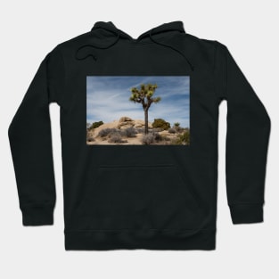 A Lone Joshua Tree! Hoodie